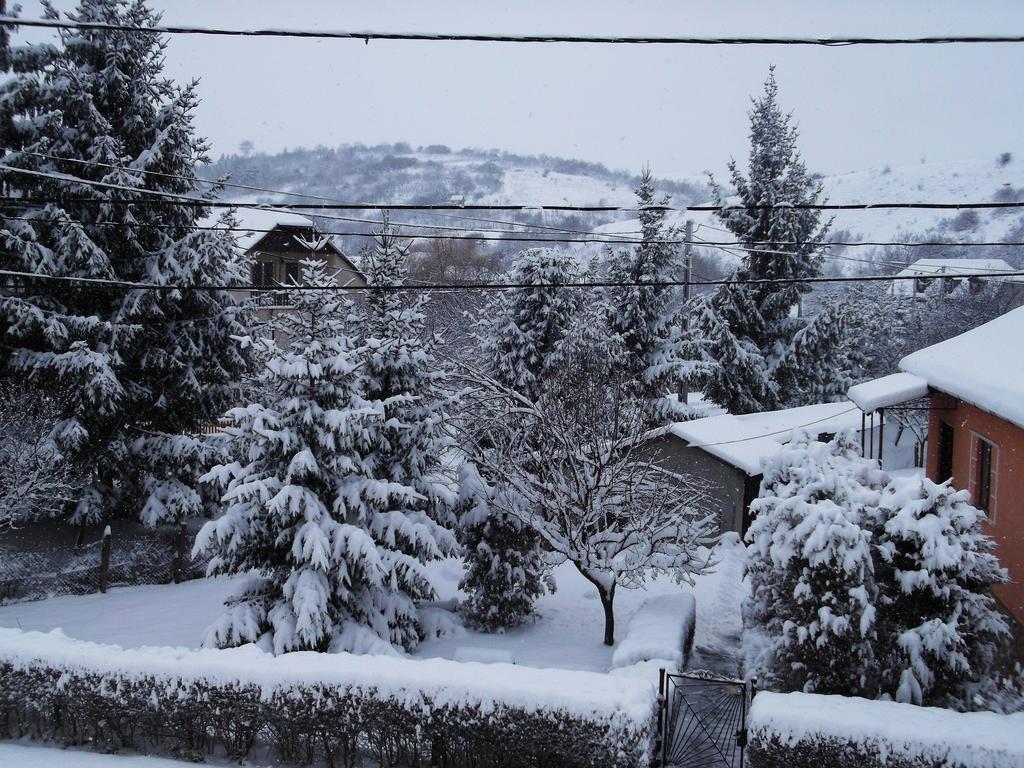 Bekecs Vendeghaz Daire Nagyvisnyó Dış mekan fotoğraf